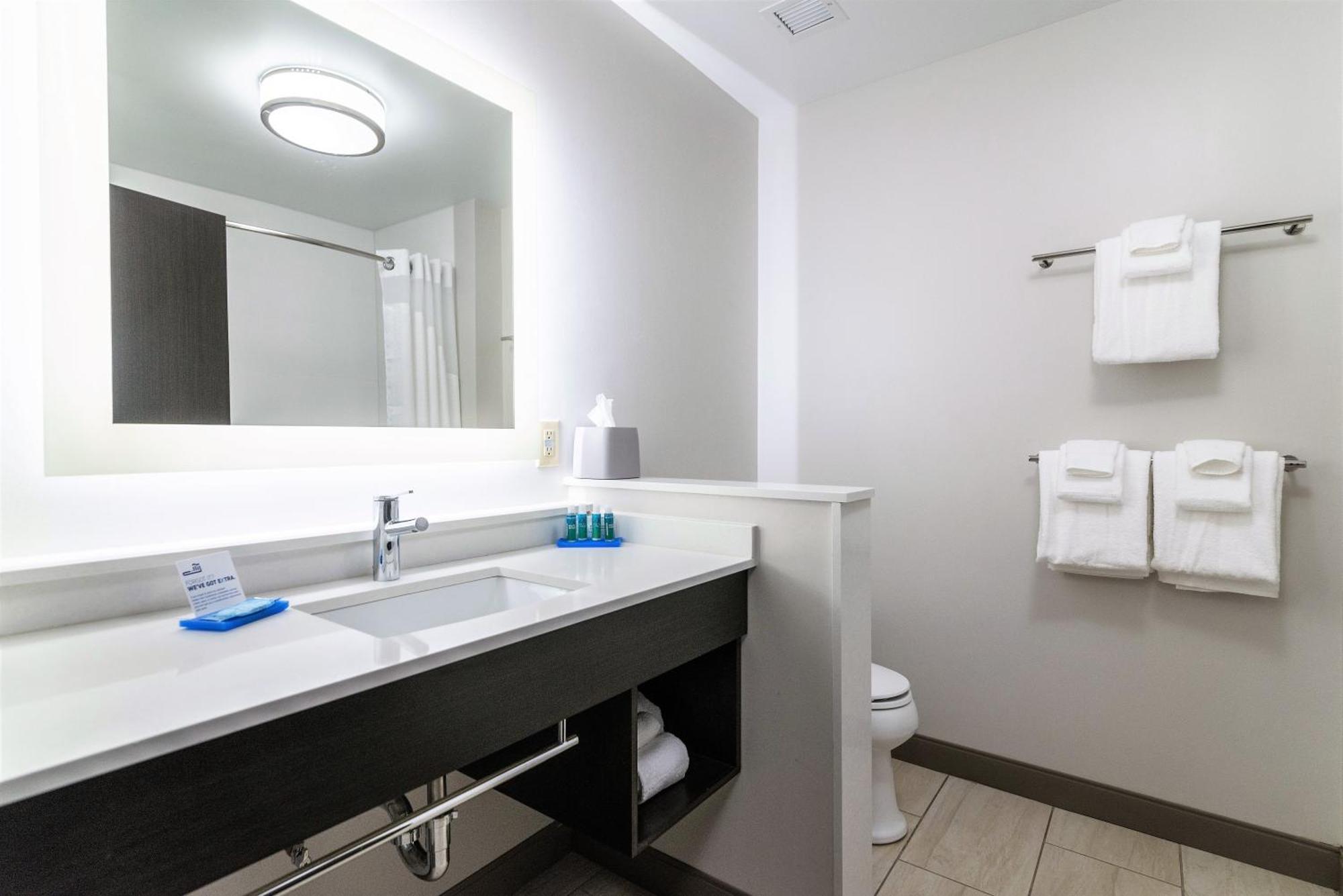 Holiday Inn Express & Suites Allen Park By Ihg Buitenkant foto